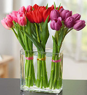 modern-valentine-tulips