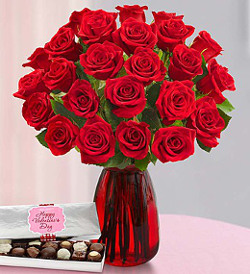 two-dozen-romantic-red-roses